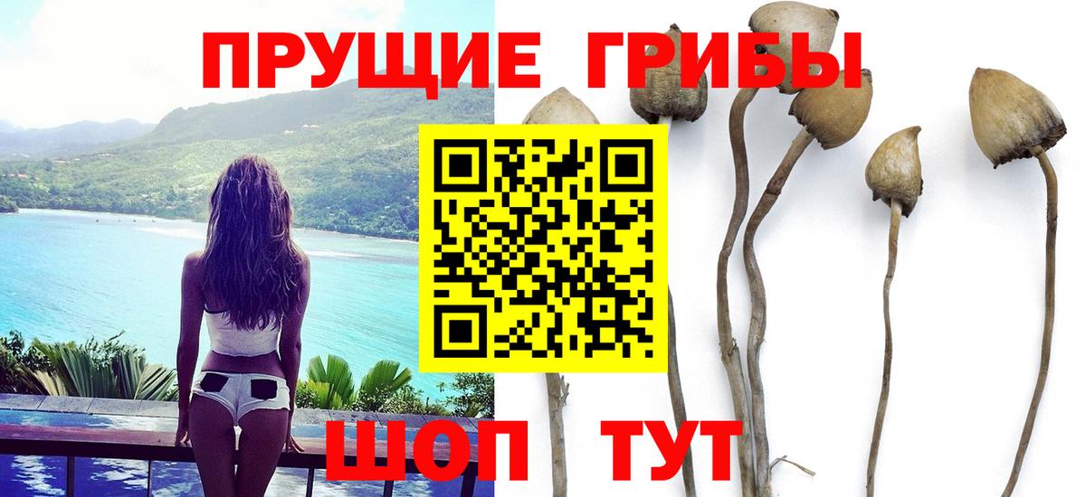 Псилоцибиновые грибы прущие грибы  Вход с VPN  Кудымкар 