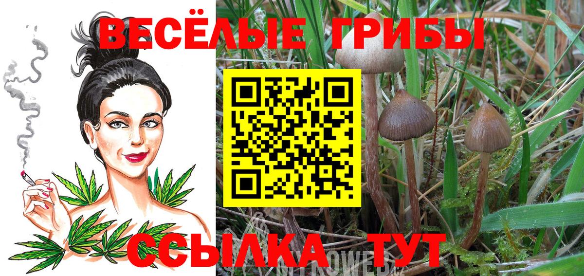 Мефедрон кристаллы  Мефедрон  Метамфетамин  Каннабис  Вход с VPN  Кокаин  Alpha PVP СК кристаллы  ГАШ  Кудымкар  ГАШ 